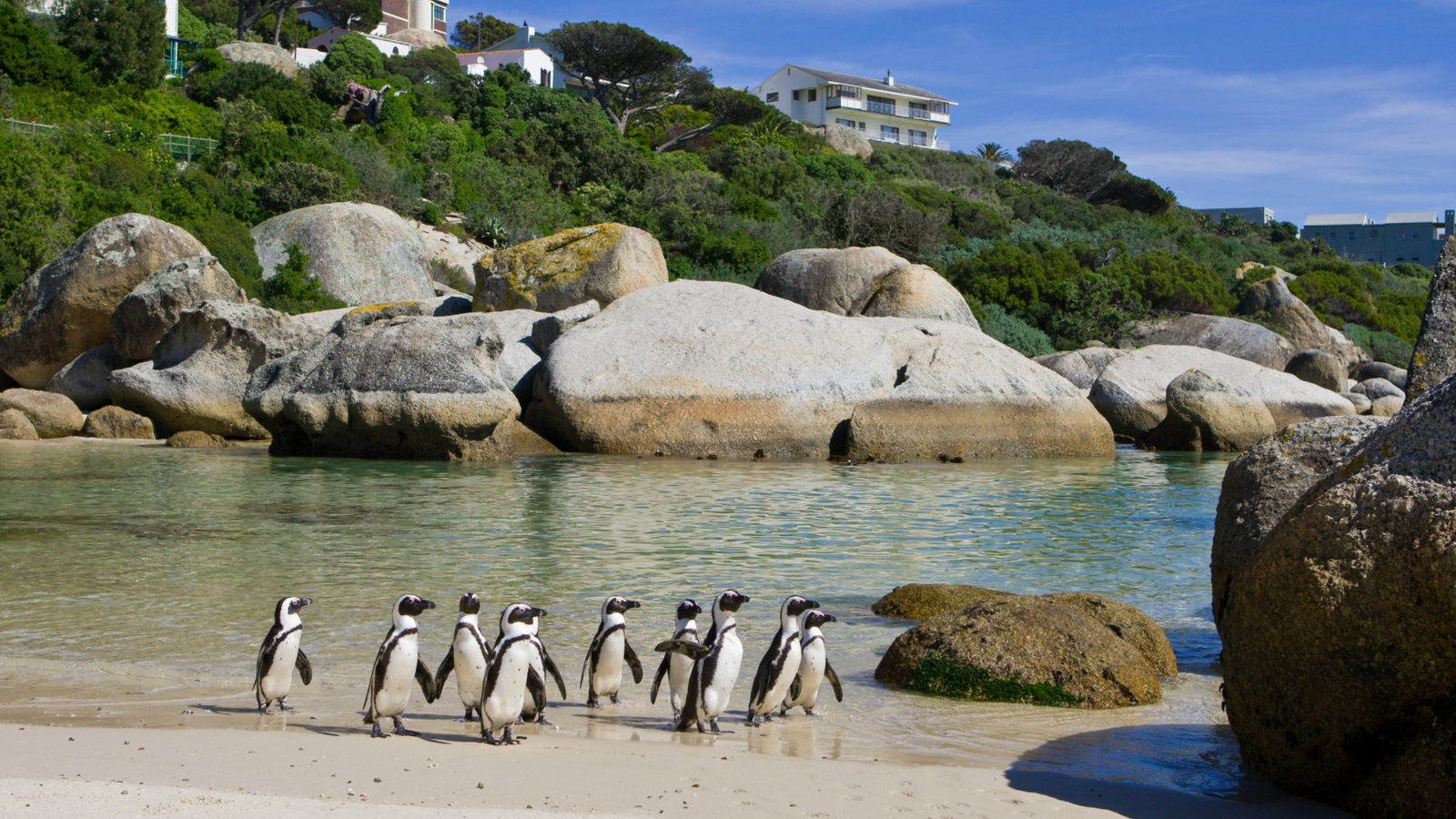 Boulders Beach